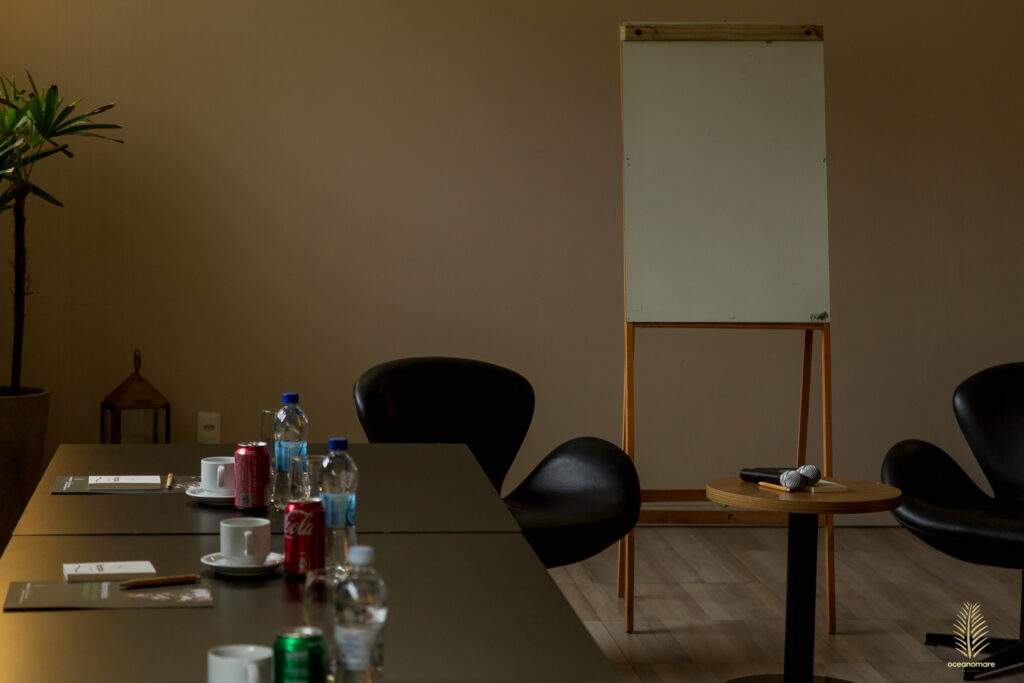 Ecohotel OceanoMare sala vip-28